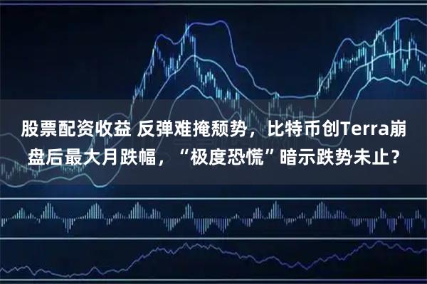 股票配资收益 反弹难掩颓势，比特币创Terra崩盘后最大月跌幅，“极度恐慌”暗示跌势未止？
